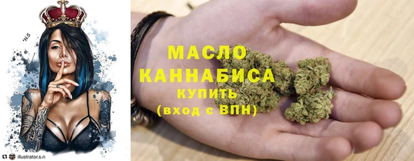 гидра Кулебаки