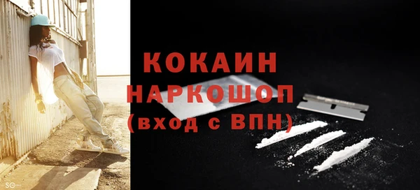 гидра Кулебаки
