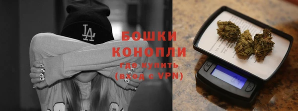 гидра Кулебаки