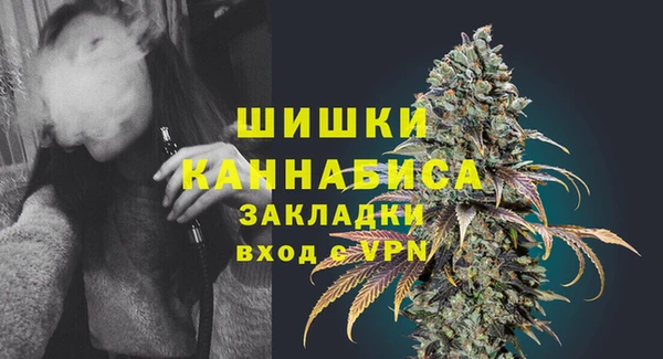 гидра Кулебаки