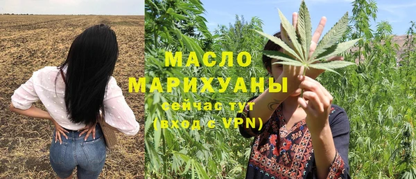 гидра Кулебаки