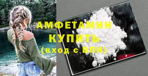 гидра Кулебаки