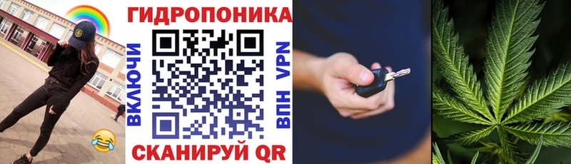 Купить закладки  Медынь  Бошки Шишки план 